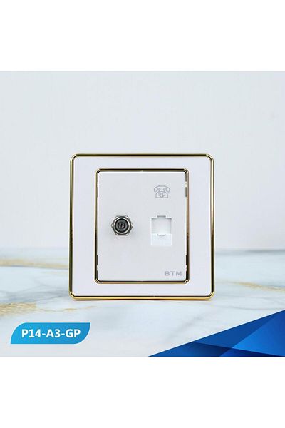 Btm a telephone port and a PREAL gold TV socket -100 pieces