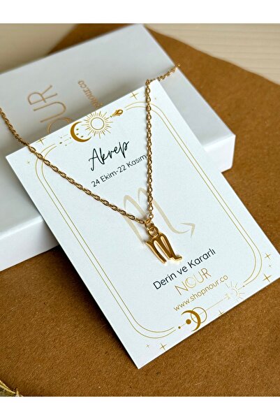 Nour Co Akrep Burcu Özel Kartlı Çelik Kolye