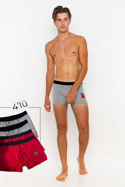 redowl Men's 4-Piece Boxer Advantageous Pack