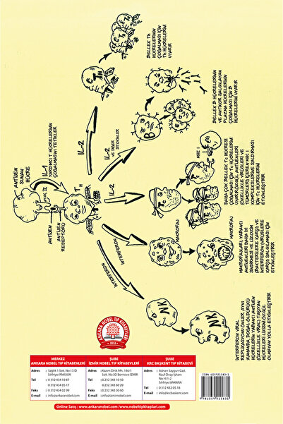Genel Markalar Ankara Nobel Tıp Kitabevleri Basitleştirilmiş Klinik Fizyoloji