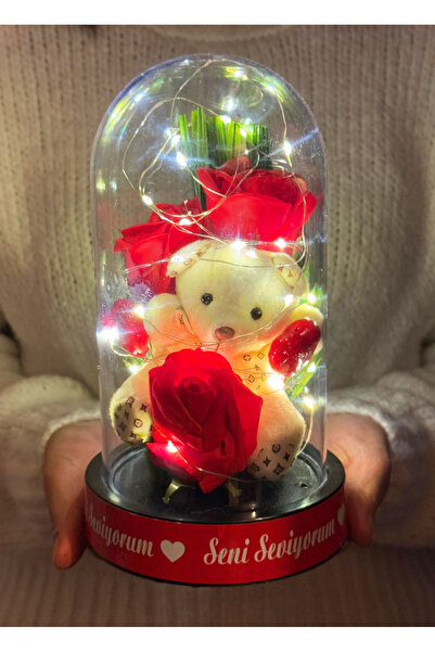 lenostra Sevgiliye Hediye Güllü Ayıcıklı Ledli Fanus - Kız Arkadaşa Hediye -S...