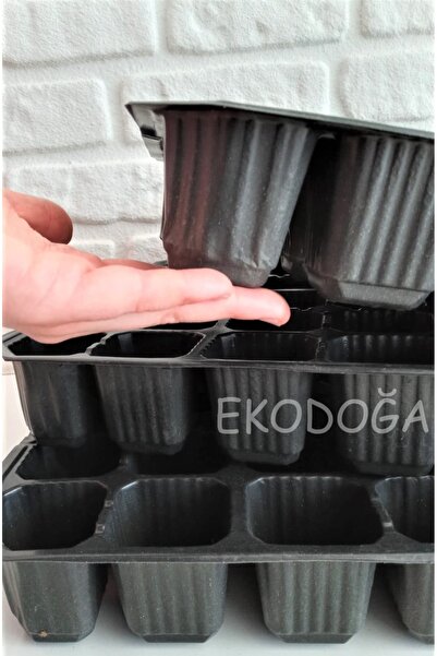 Ekodoğa Fide Viyolü 48 Göz 5 Adet Fide Viyol Fide Viyolleri Fide Yetiştirme K...