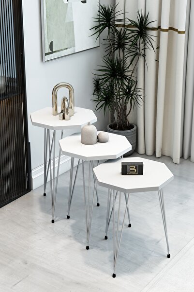BARIN DESIGN 3'lü Sekizgen Zigon Sehpa Seti - Gümüş Metal Ayaklı, Modern & Şık Yan Sehpa, Dayanıklı Salon Ofis