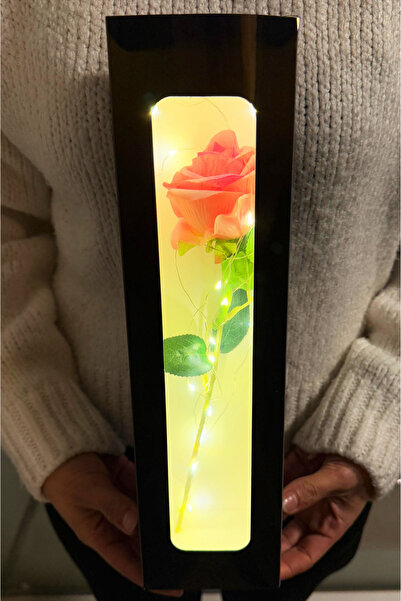 lenostra Ledli Kutu İçerisinde Pembe Gül Sevgiliye Hediye Kız Arkadaşa Sevgil...