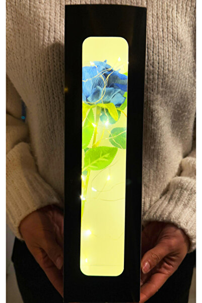 lenostra Ledli Kutuda Lacivert Kadife Gül Dogum Gunu Hediyesi Sevgiliye hediy...