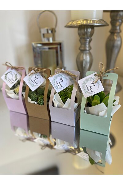 FİDAN PAZARI ÇANTALI HEDİYELİK SUKULENT MİX 20 ADET  (4 RENK KARIŞIK RENKLİ)