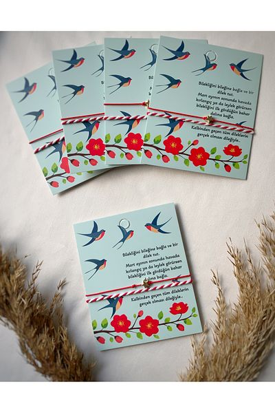 Atölye Merdiven 5-Piece Card Gift Martenish Gift Spring Swallow-Tip Wish Bracelet Set