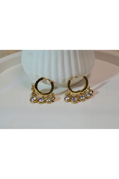 fezzstore Fezzstore38 High Quality Gold 316L Steel Zircon Stone Earrings
