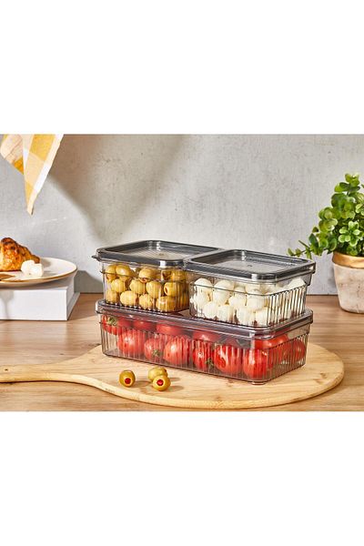 Orvila 3-Piece Storage Container Set - Refrigerator Organizer & Picnic Carrying Container Set (1.80Lt X1 - 0.85Lt X2)