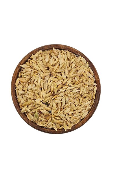 Atalık Kabuklu Kavılca Buğday Tohumu 500 gr (İLAÇSIZ / KATKISIZ)