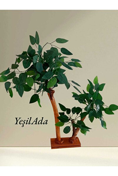 YEŞİLADA Minyatür Benjamin Ağacı İki Gövdeli Yeşil Ağaç Ahşap Stand 50*30 Cm