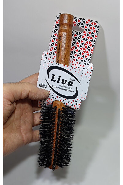 Alsun 2 τμχ Βούρτσα μαλλιών ανθεκτική στη θερμότητα Επαγγελματική βούρτσα για στεγνωτήριο