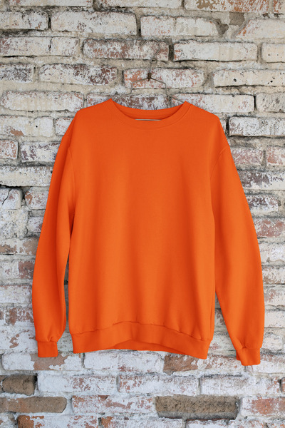 Butik Hanorac unisex cu mânecă lungă, cu 2 fire, fără imprimeu B guler rotund