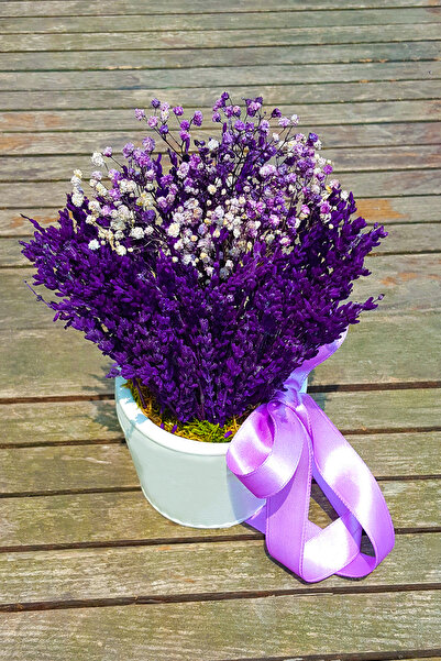 çiçekseli Beyaz Saksıda Mor Lavanta Ve Cipso & Hediye Dekoratif Çiçek & 20-22 Cm