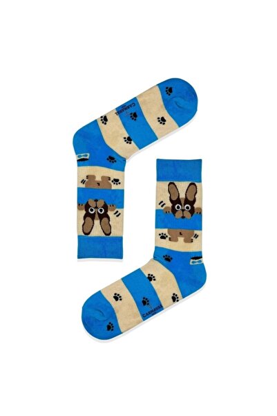 CARNAVAL SOCKS French Bulldog Patterned Colorful Socks