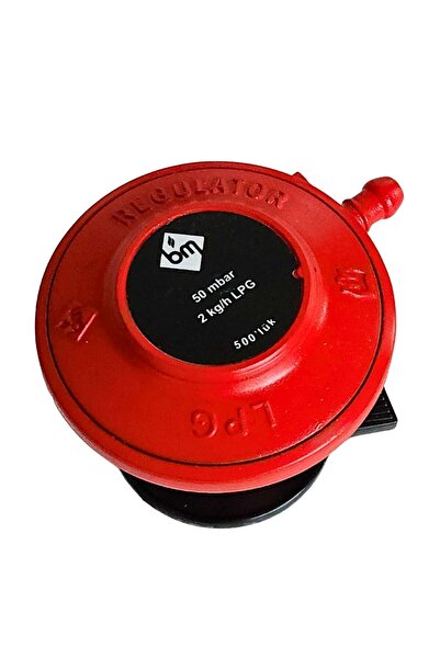 Remta Sanayi Tipi Ürünler İçin LPG Tüp Dedantörü Regülatörü - 50 mbar - 0-2 k...