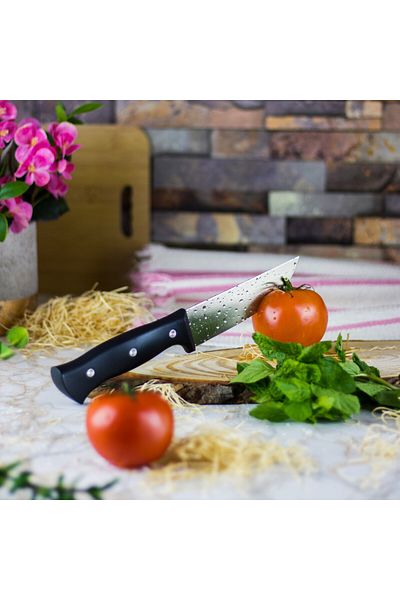 HIC Japanese kitchen knife 5 inch - 25CM