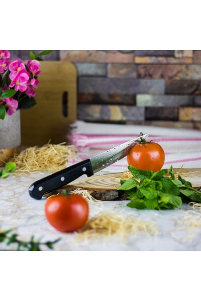 HIC Japanese kitchen knife 5 inch - 25CM