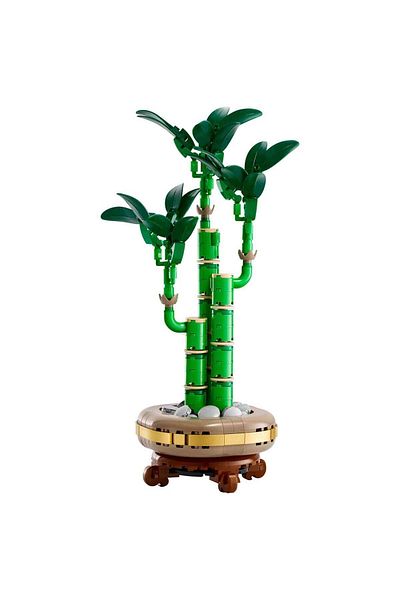 LEGO Botanicals Lucky Bamboo 10344 - 18+ Flower Model Building Set (325 Pieces)