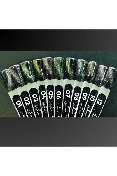 Aka 15 ML Kedi Gözü kalıcı oje Cat Eyes Seri renkli