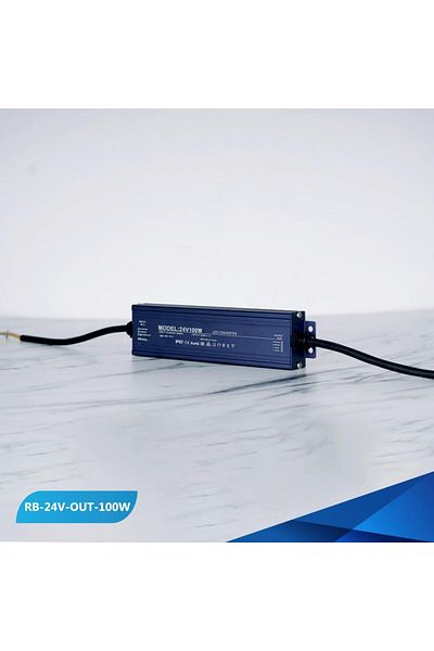 REEBOON 100W Ribbon 24V External Transformer