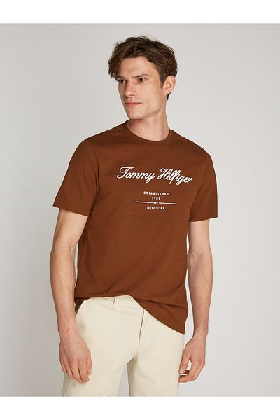 Tommy Hilfiger Tommy Hilfiger Men Brown T-Shirts