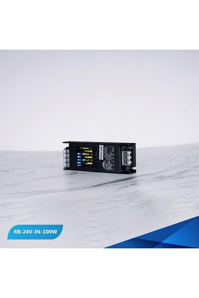 REEBOON Ribbon 100W 24V Inverter Internal Transformer