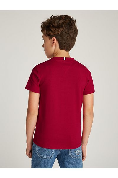 Tommy Hilfiger Tommy Hilfiger Boys Red T-Shirts