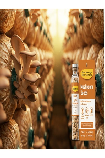 tohumcu kikizade Micron Delikli 500 Adet Istiridye Mantarı Kompost Poşeti 30x60 Şeffaf Torba