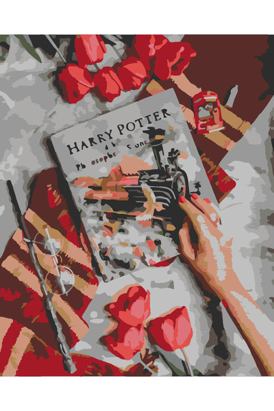 wombhobby Harry Potter A Dair Sayılarla Boyama Seti 40x50 Çerçeveli (Kasnağa ...