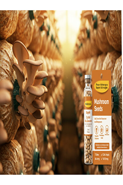 tohumcu kikizade Micron Delikli 50 Adet Istiridye Mantarı Kompost Poşeti 30x60 Şeffaf