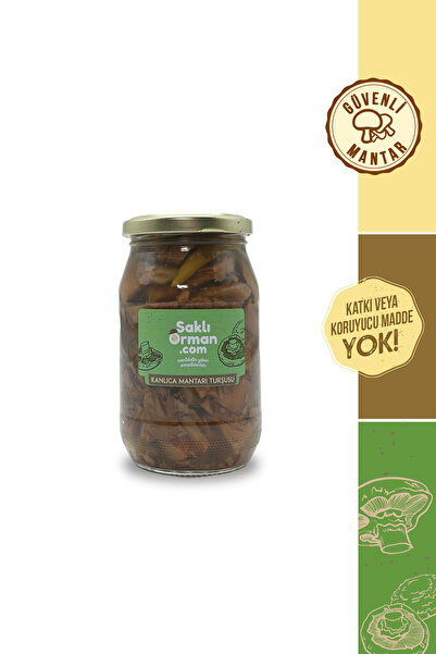 Saklı Orman Doğal Kanlıca Mantarı Turşusu 200 gr