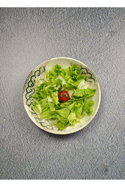 Qualitev 1 Adet Porselen Salata Çukur Sunum Servis Tabağı 25 cm- Mezopotamya ...