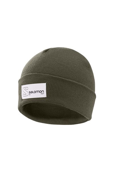 Salomon Outlife Logo Beanie