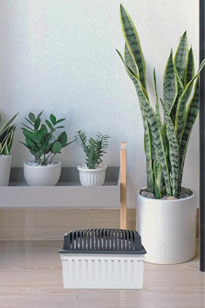 Saban Gri Kapaklı Dikdörtgen 1 Kilogram, Naturel Kokusuz - Nem Alıcı Aparat + Tablet