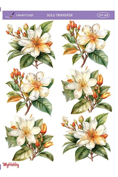 LİNEART Lineart Sulu Transfer LNT368 25x35cm, Dekopaj