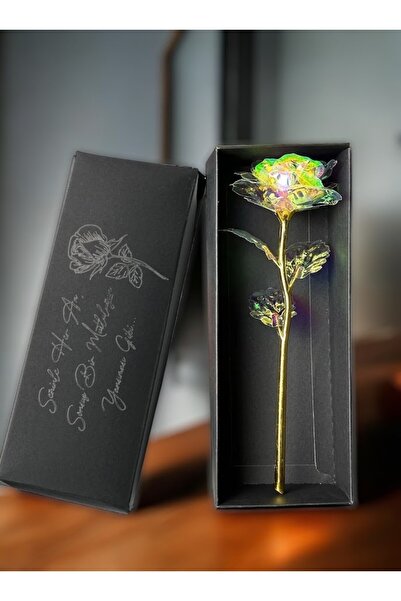 Masalsı Concept Seninle Her An Sonsuz Mutluluğun Yansıması Gibi  Sonsuzluk Gü...