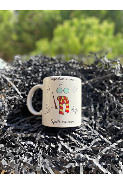 Harry Potter Mug - Birthday Gift, Hogwarts Themed, Ceramic, 330 Ml,