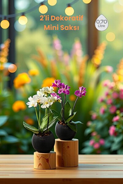 Melkan Home Dekoratif 2'li Mini Saksı Seti - Kaktüs, Orkide, Çiçekler İçin Mo...