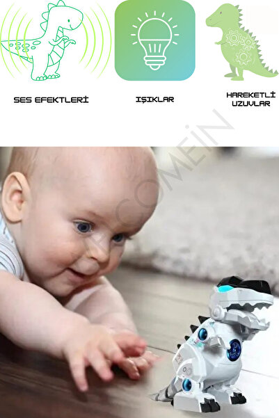 NW NessiWorld Oyuncak Işıklı, Müzikli ve Hareketli Gerçekçi Robot Dinozor