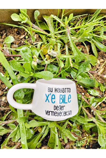 Home Coffee Cup with Humor: "You Won'T Even Bother to Care about X in This Life."