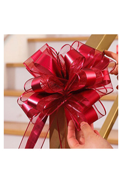 Choice 10 قطع من خيوط الثلج باللون العنابي و10 قطع من فيونكات السحب وشرائط في...