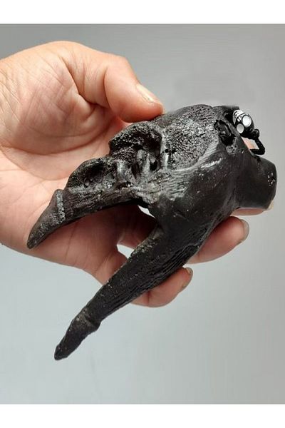 Choice Black Aztec Strange Sound Death Whistle Crow Head Shape Horror Scream Whistle