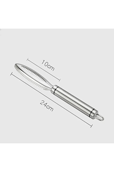Choice 1 قطعة من قشور السمك المصنوعة من الفولاذ المقاوم للصدأ، أداة كشط ومبشر...