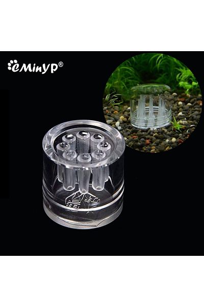 Choice Aquarium Planaria Trap Crystal Red Shrimp Worm Trap Transparent 8-Hole Leech Proteinworm Pest Cat...