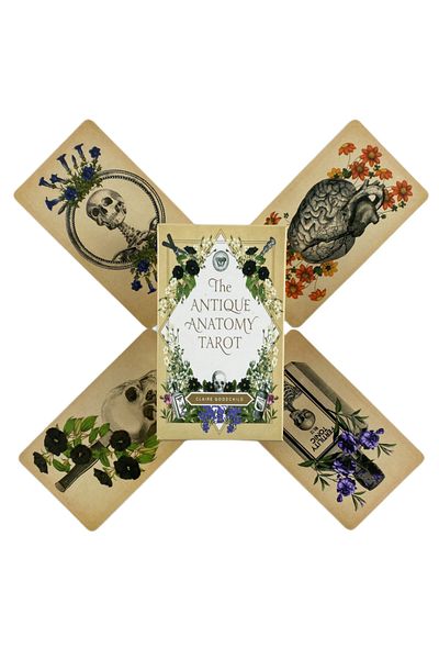 Choice بطاقات Tarot The Antique Anatomy من Tt88، إصدار Oracle English Visions Divination، 78 Deck، Borad Playi