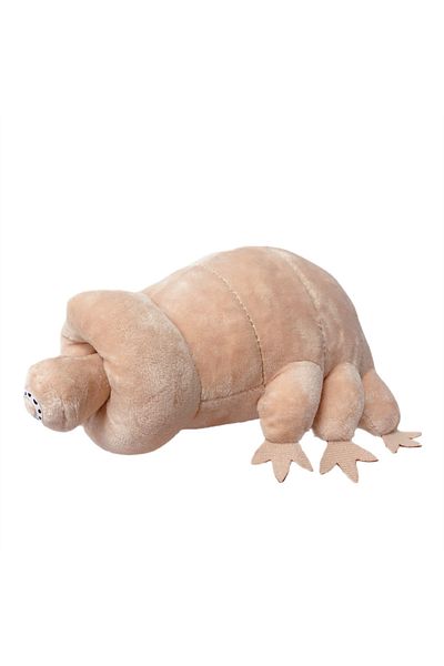 Choice 25cm 25cm Water Bear Tardigrade Plush Toy Soft Tardigrade Dolls Stuffed Animals Educational Toys For