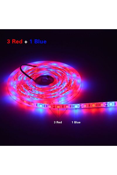 Choice 5m Not Waterproof 3 Red 1 Blue 5m Led Phyto Lamps Grow Lights Smd 5050 Led Strip 12v Waterproof Flow