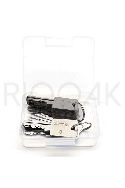 Choice مجموعة أدوات الأقفال المكونة من 48 قطعة لقفل رأس الثور وقفل الأخدود S وأقفال كلمة واحدة...