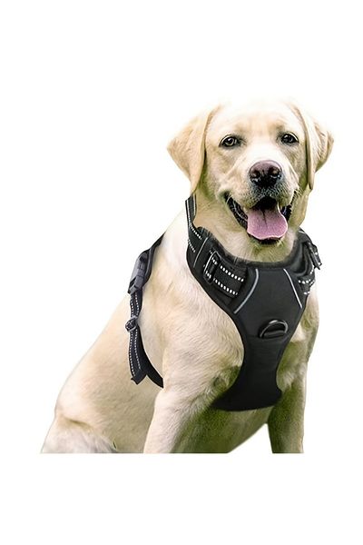 Choice M Black Dog Harness, No-pull Pet Harness With 2 Leash Clips, Adjustable Soft Padded Dog Vest, Black